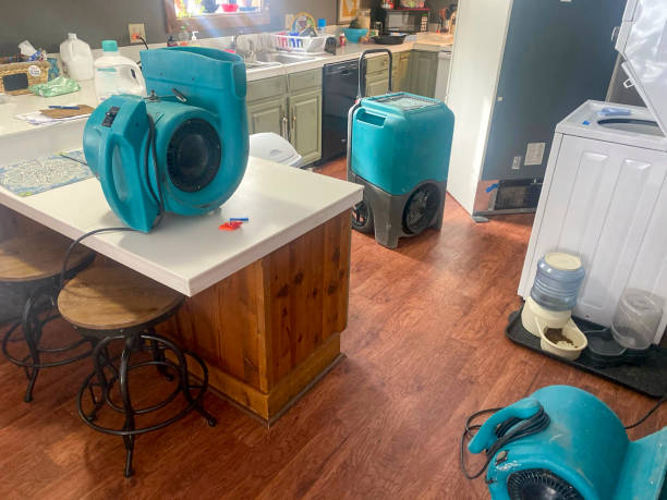 Best Water damage restoration near me  in Rio Linda, CA