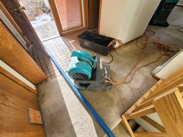 Best Residential water damage restoration  in Rio Linda, CA