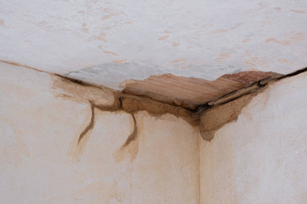 Best 24-hour water damage restoration  in Rio Linda, CA