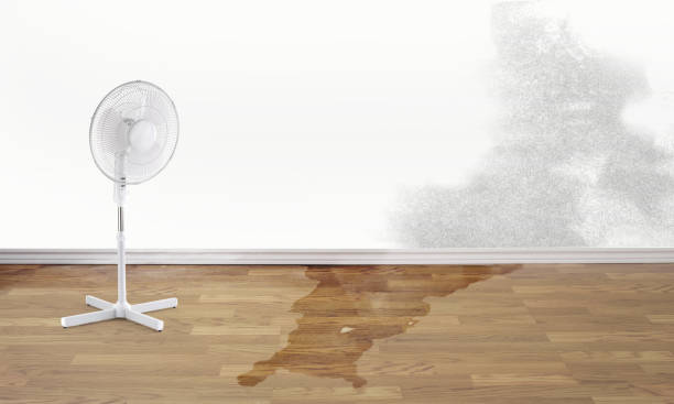 Best 24/7 water damage repair  in Rio Linda, CA