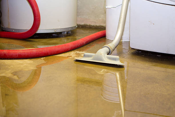 Best Water damage restoration insurance claims  in Rio Linda, CA