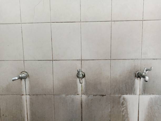 Best Carpet water damage restoration  in Rio Linda, CA