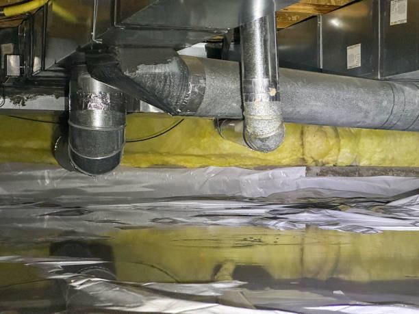 Best Mold removal after water damage  in Rio Linda, CA